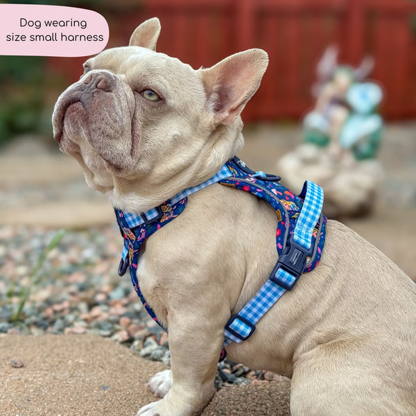 Tough Trails™ Harness - Alice In Wonderland