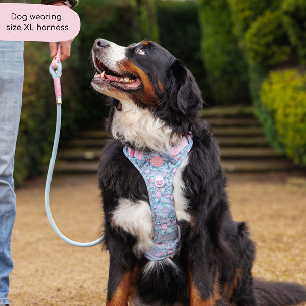 Tough Trails™ Harness - Mad Hatters Tea Party