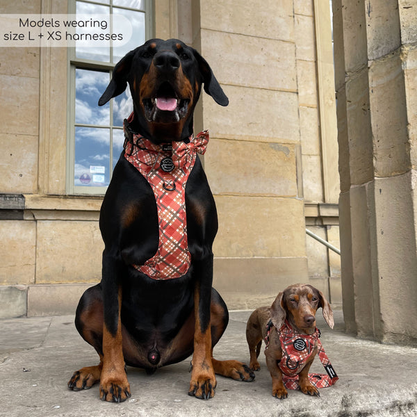 Tough Trails™ Harness - Pumpkin Plaid