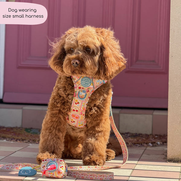 Tough Trails™ Harness -  Summer Vacay