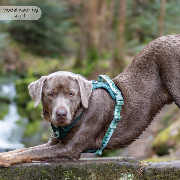 Tough Trails™ Harness - Walkies Ready® Forest Green