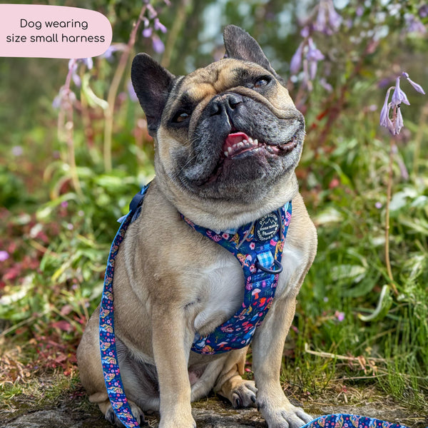 Tough Trails™ Harness - Alice In Wonderland