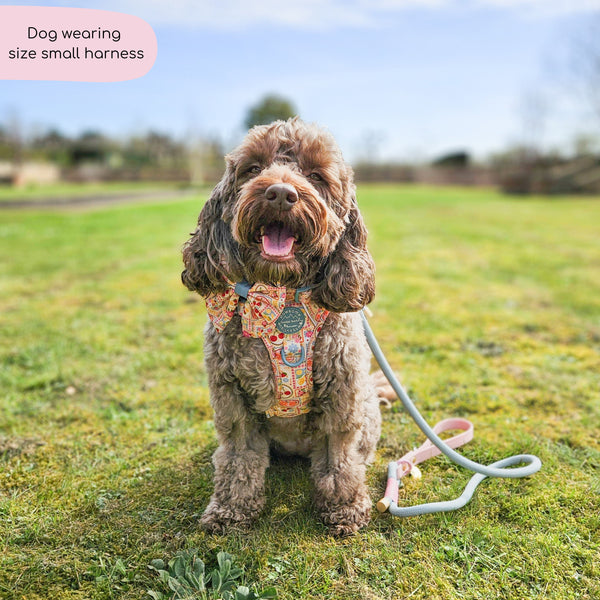 Tough Trails™ Harness -  Summer Vacay