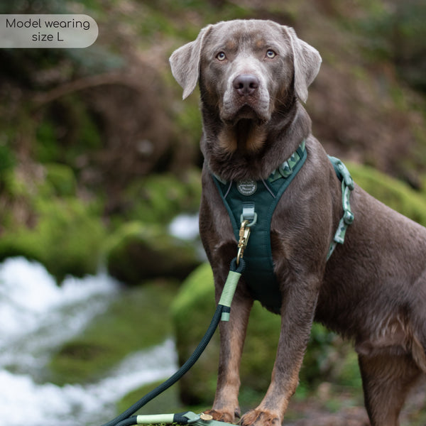 Tough Trails™ Harness - Walkies Ready® Forest Green