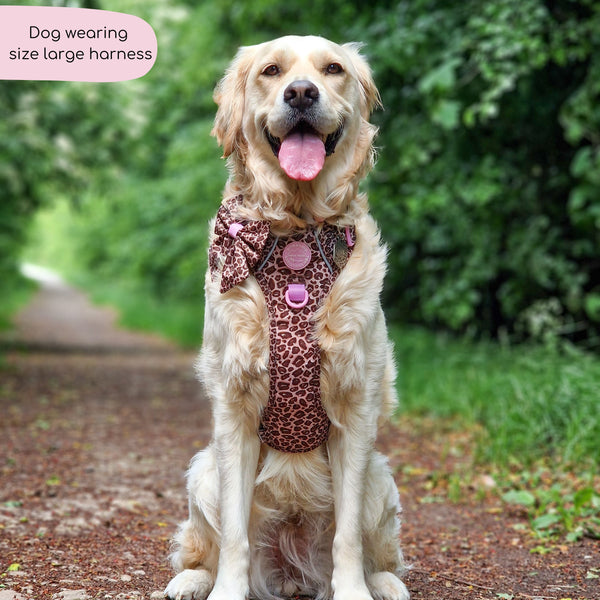 Tough Trails™ Harness -  Leopard Print