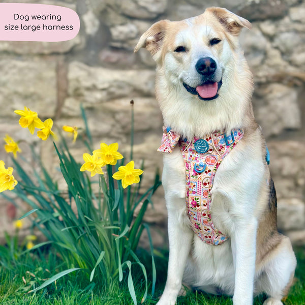 Tough Trails™ Harness -  Summer Vacay