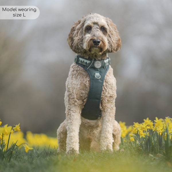 Tough Trails™ Harness - Walkies Ready® Forest Green