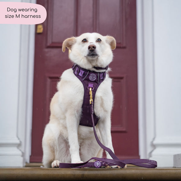 Tough Trails™ Harness - Walkies Ready® Plum