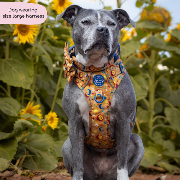 Tough Trails™ Harness - Celestial Spirit