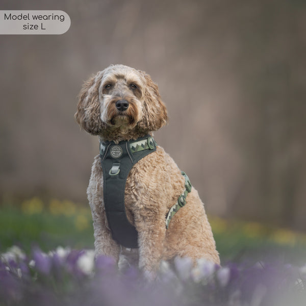 Tough Trails™ Harness - Walkies Ready® Forest Green