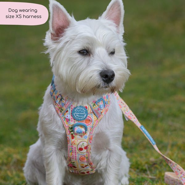 Tough Trails™ Harness -  Summer Vacay