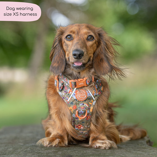 Tough Trails™ Harness - Rust & Bloom