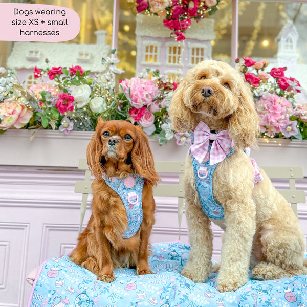 Tough Trails™ Harness - Mad Hatters Tea Party