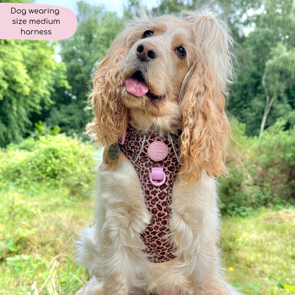 Tough Trails™ Harness -  Leopard Print