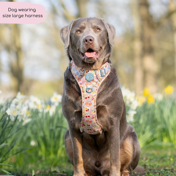 Tough Trails™ Harness -  Summer Vacay