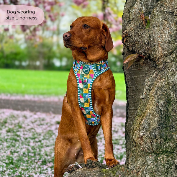 Tough Trails™ Harness -  Patchwork