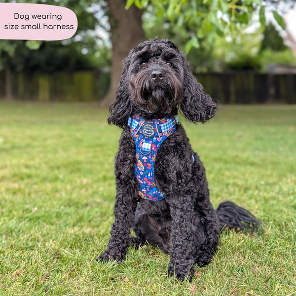 Tough Trails™ Harness - Alice In Wonderland