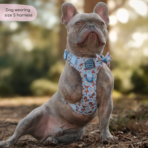 Disney© Tough Trails™ Harness - Tigger