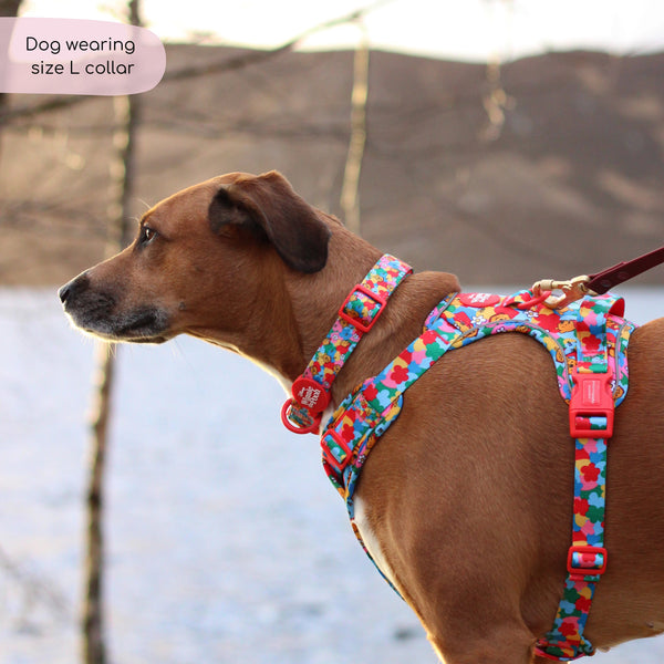 Disney© Collar - Winnie Goes Retro