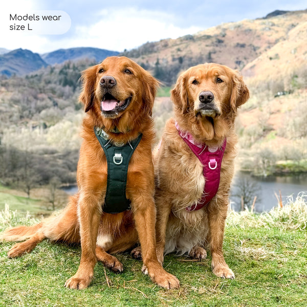 Tough Trails™ Harness - Walkies Ready® Forest Green