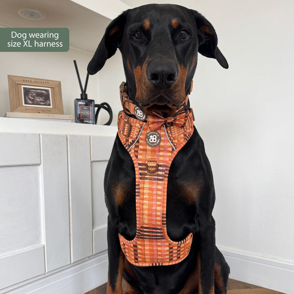Tough Trails™ Harness -  Golden Acre