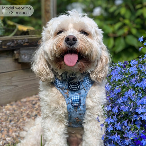 Disney© Tough Trails™ Harness - Bambi + Friends Blue