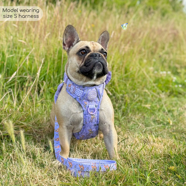 Disney© Tough Trails™ Harness - Bambi + Friends Lilac