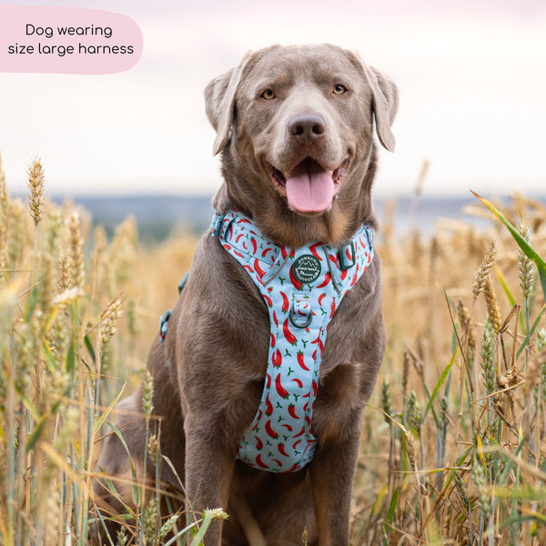 Tough Trails™ Harness - Stay Spicy