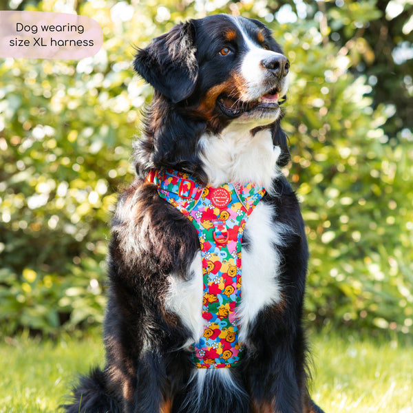 Disney© Tough Trails™ Harness - Winnie Goes Retro