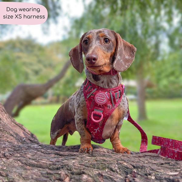 Tough Trails™ Harness - Bows Of Joy
