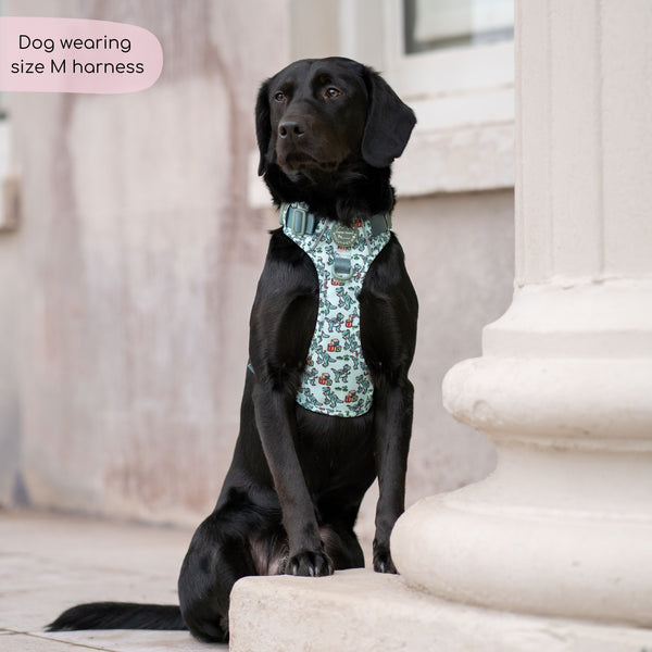 Disney© Tough Trails™ Harness - Rex