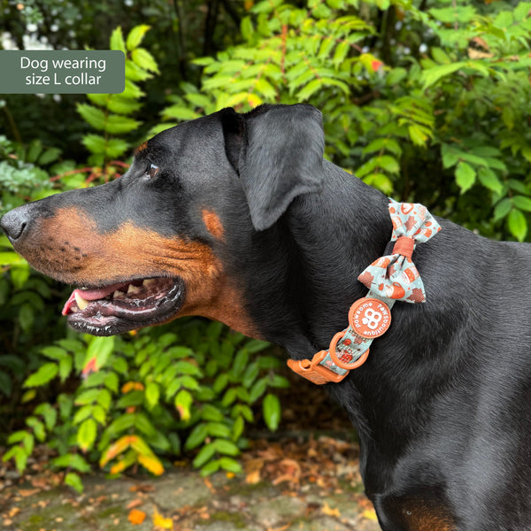 Collar - Pumpkin Spice
