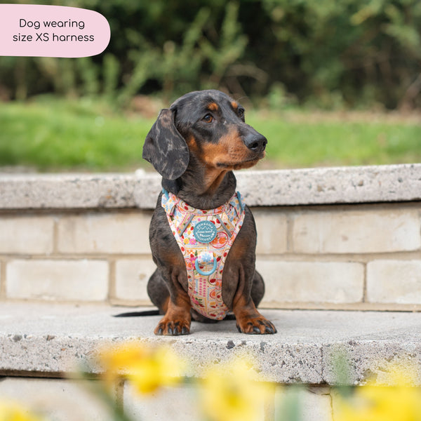 Tough Trails™ Harness -  Summer Vacay