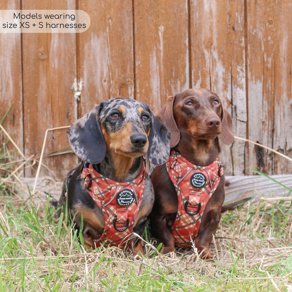 Tough Trails™ Harness - Pumpkin Plaid