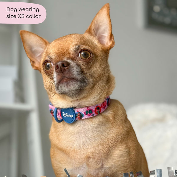 Disney© Collar - Princess