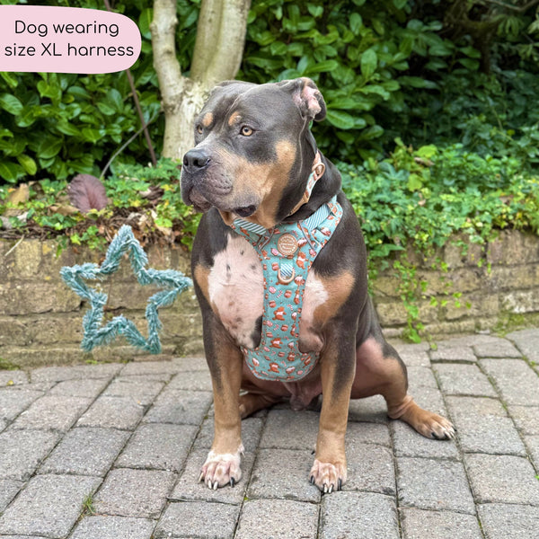 Disney© Tough Trails™ Harness - Gingerbread Bear Sage