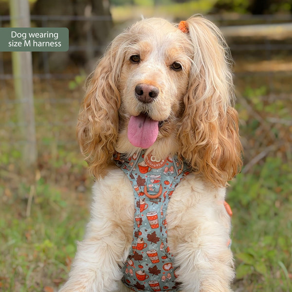 Tough Trails™ Harness -  Pumpkin Spice