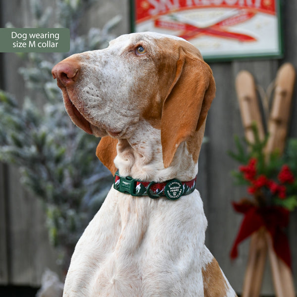 Collar – Walkies Ready® Snowy Mountains