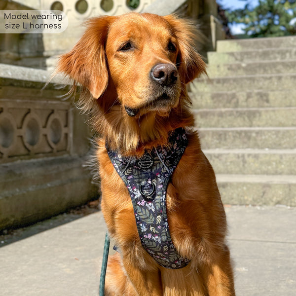 Tough Trails™ Harness - Midnight Garden