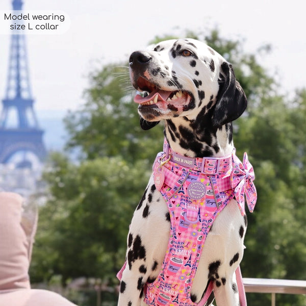 Collar - Emily In Paris