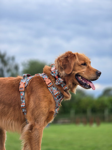 Bow Tie - Pumpkin Spice