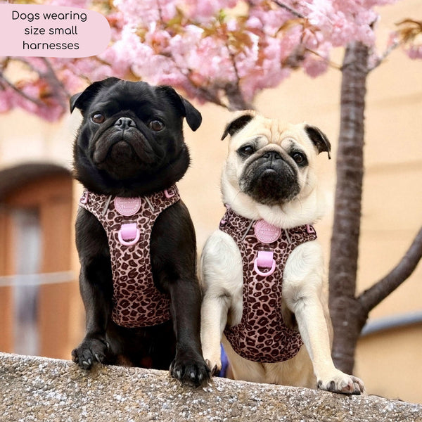 Tough Trails™ Harness -  Leopard Print