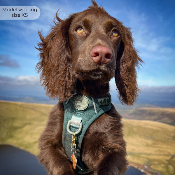 Tough Trails™ Harness - Walkies Ready® Forest Green