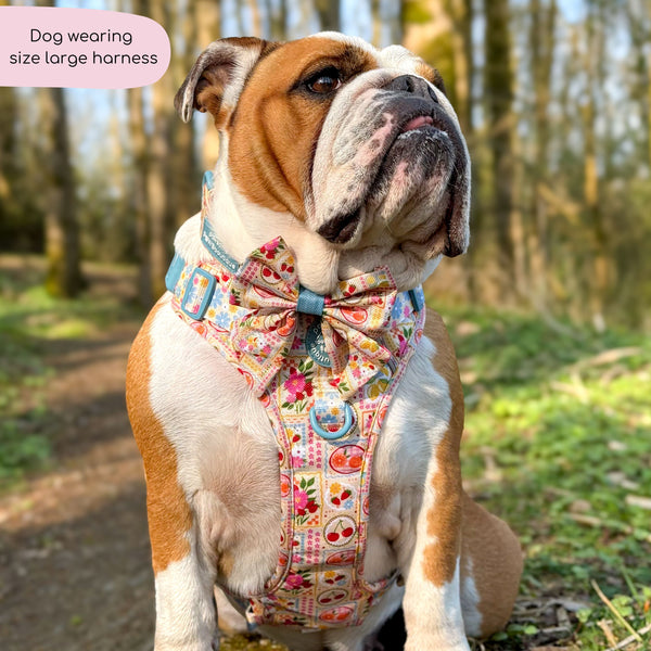 Tough Trails™ Harness -  Summer Vacay