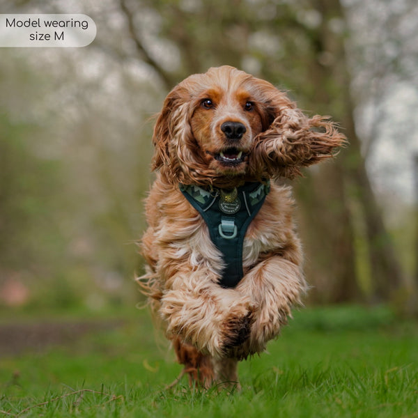 Tough Trails™ Harness - Walkies Ready® Forest Green