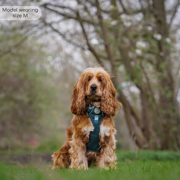 Tough Trails™ Harness - Walkies Ready® Forest Green