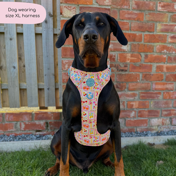Tough Trails™ Harness -  Summer Vacay