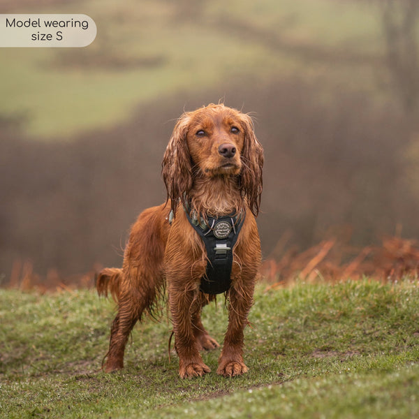 Tough Trails™ Harness - Walkies Ready® Forest Green