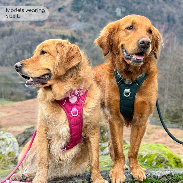 Tough Trails™ Harness - Walkies Ready® Forest Green