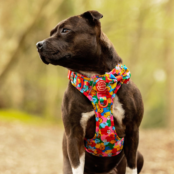 Disney© Bow Tie - Winnie Goes Retro